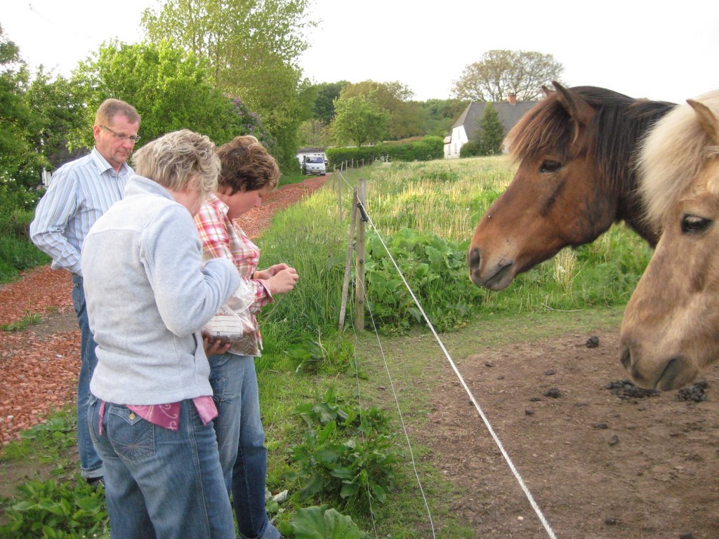 Family BBQ in Staagerup