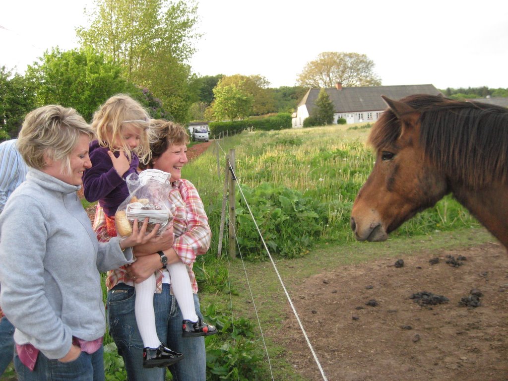 Family BBQ in Staagerup
