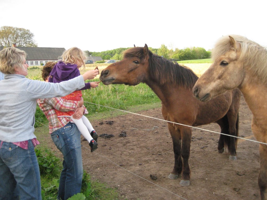 Family BBQ in Staagerup