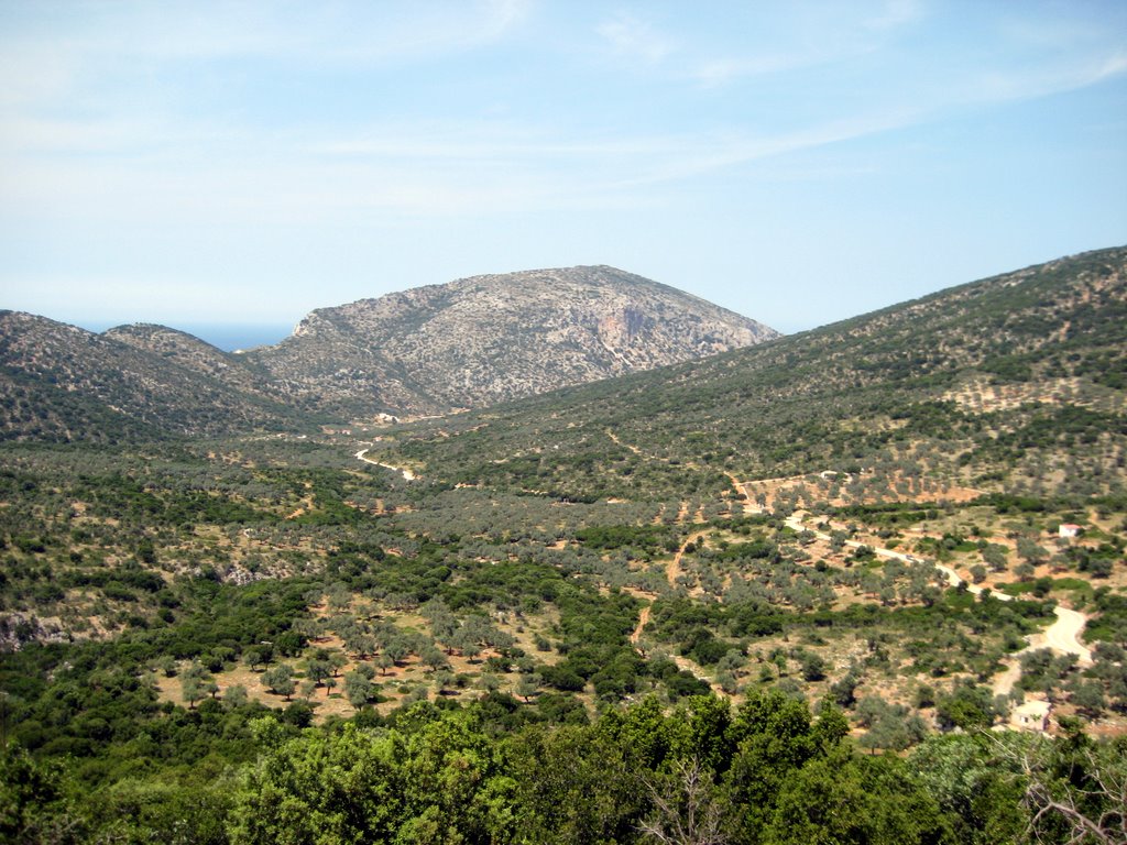 A drive to the northern part of Alonissos