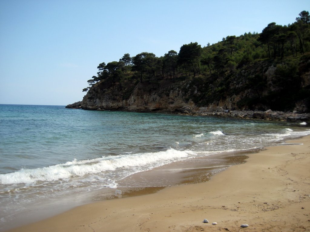 A drive to the northern part of Alonissos