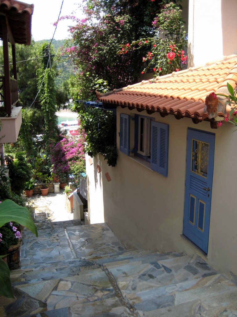 Our last day on Alonissos
