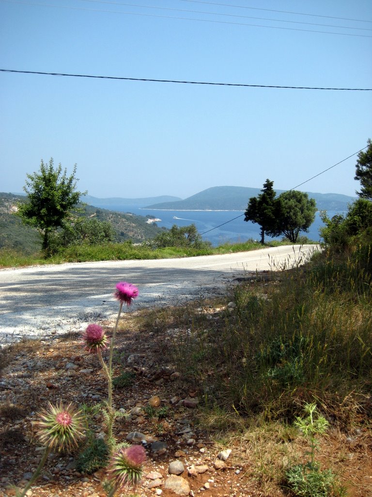 Our last day on Alonissos