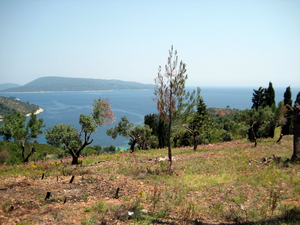 Our last day on Alonissos