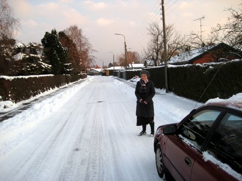 Snow in Frederiksberg