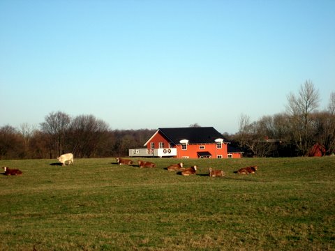 Sydfyn countryside