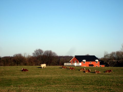 Sydfyn countryside