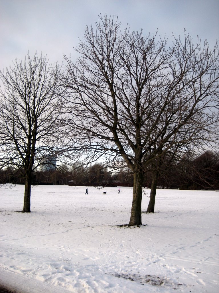 Icy photos from Valby Parken