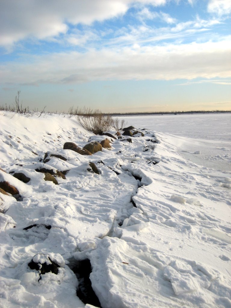 Icy photos from Valby Parken