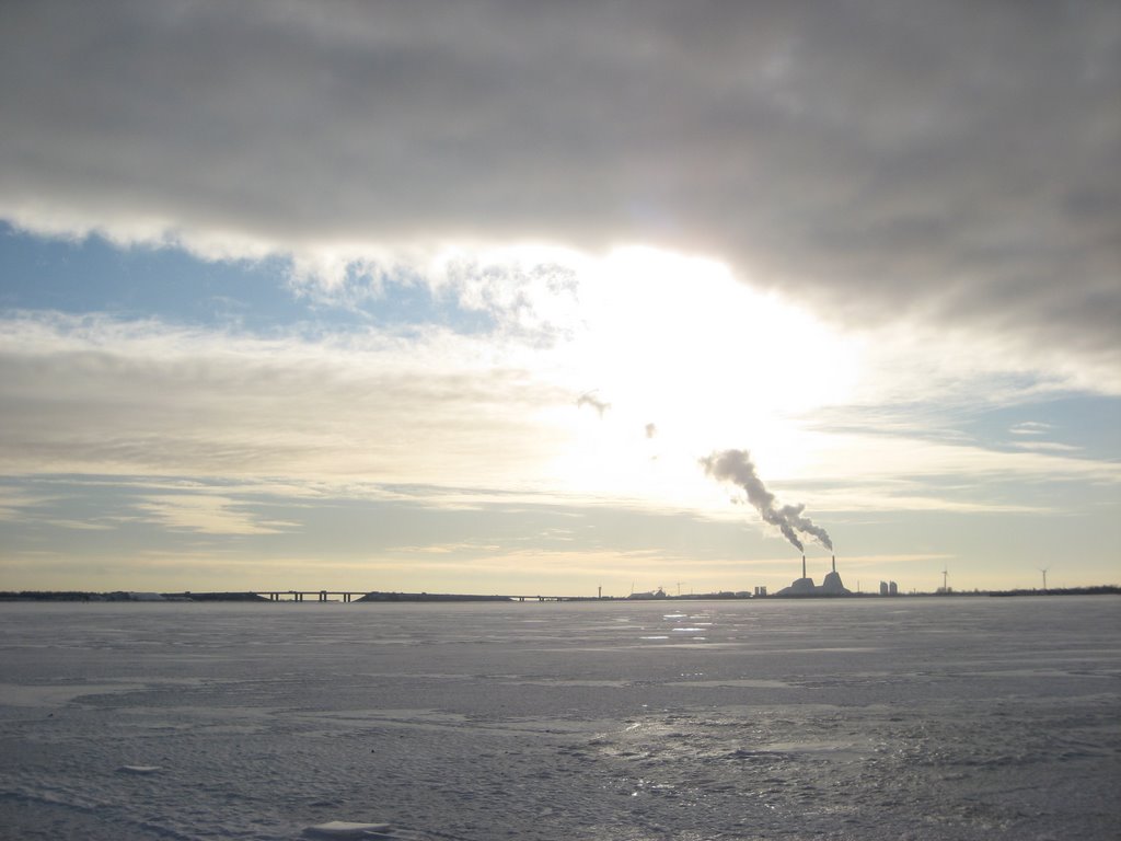 Icy photos from Valby Parken