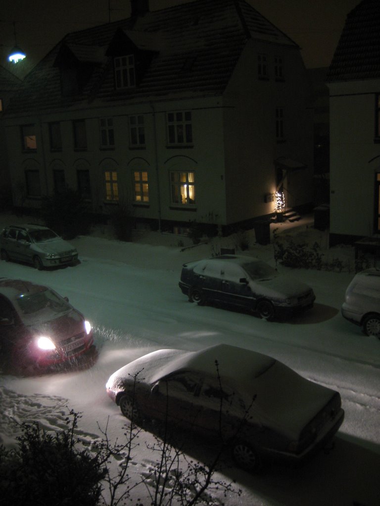Lots of snow photos