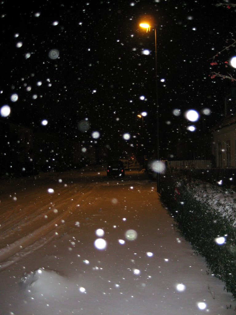 Lots of snow photos