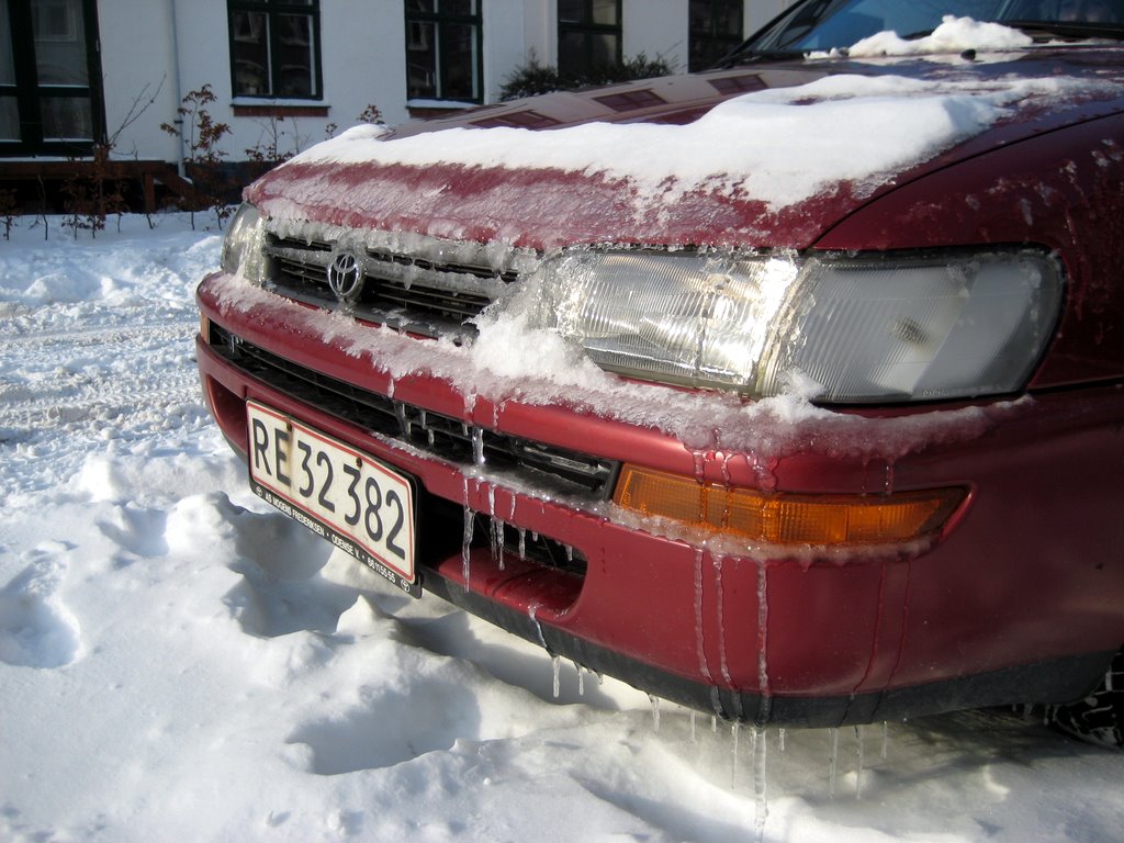 Lots of snow photos