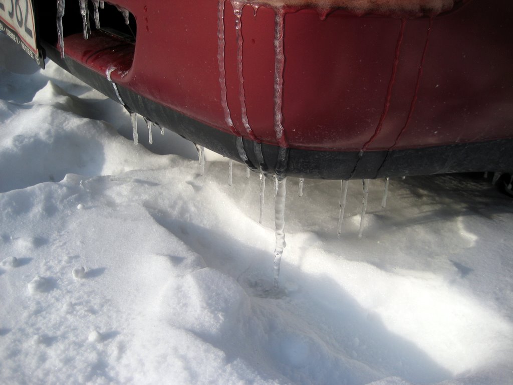 Lots of snow photos