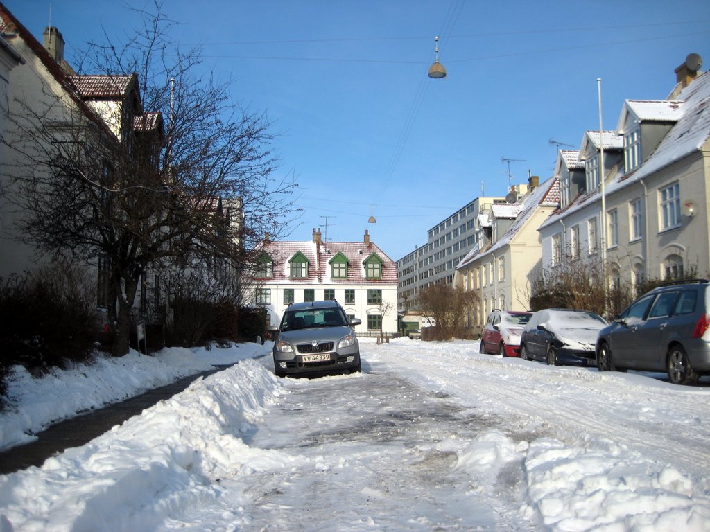 Lots of snow photos
