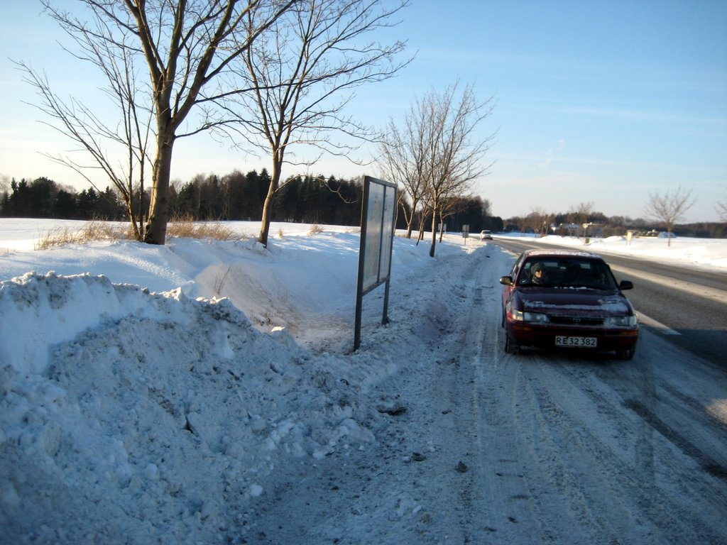 Lots of snow photos
