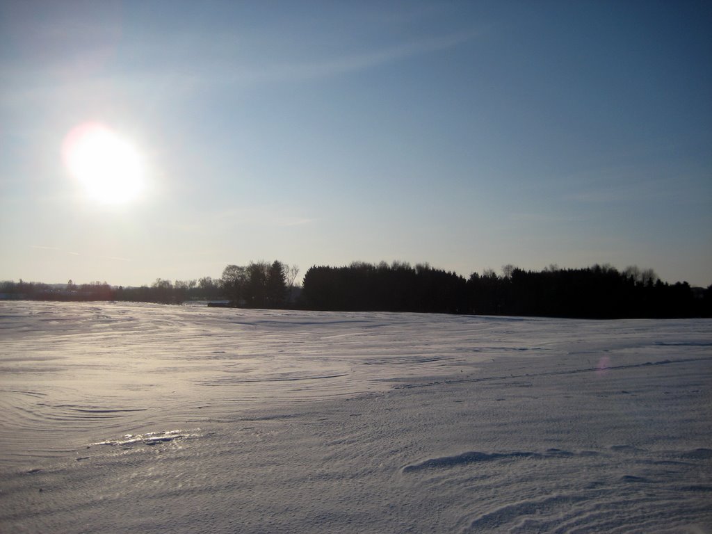Lots of snow photos