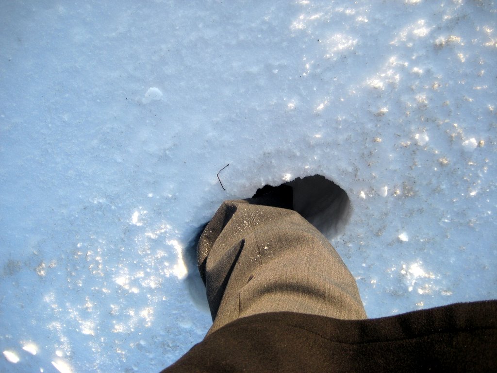 Lots of snow photos