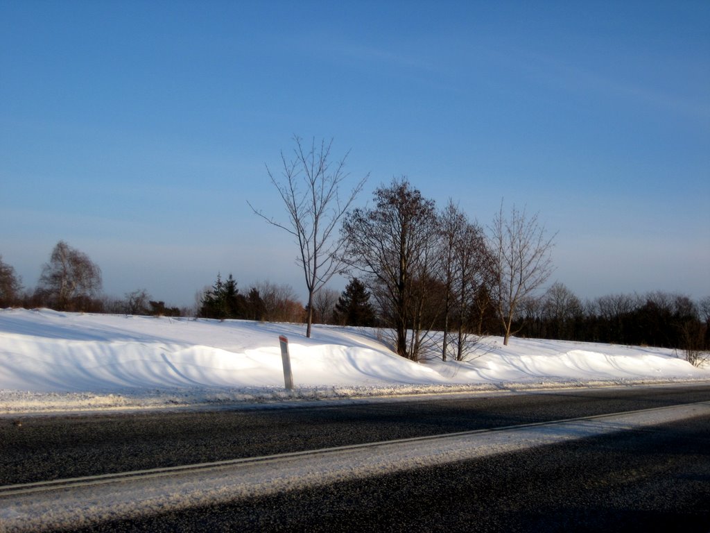 Lots of snow photos