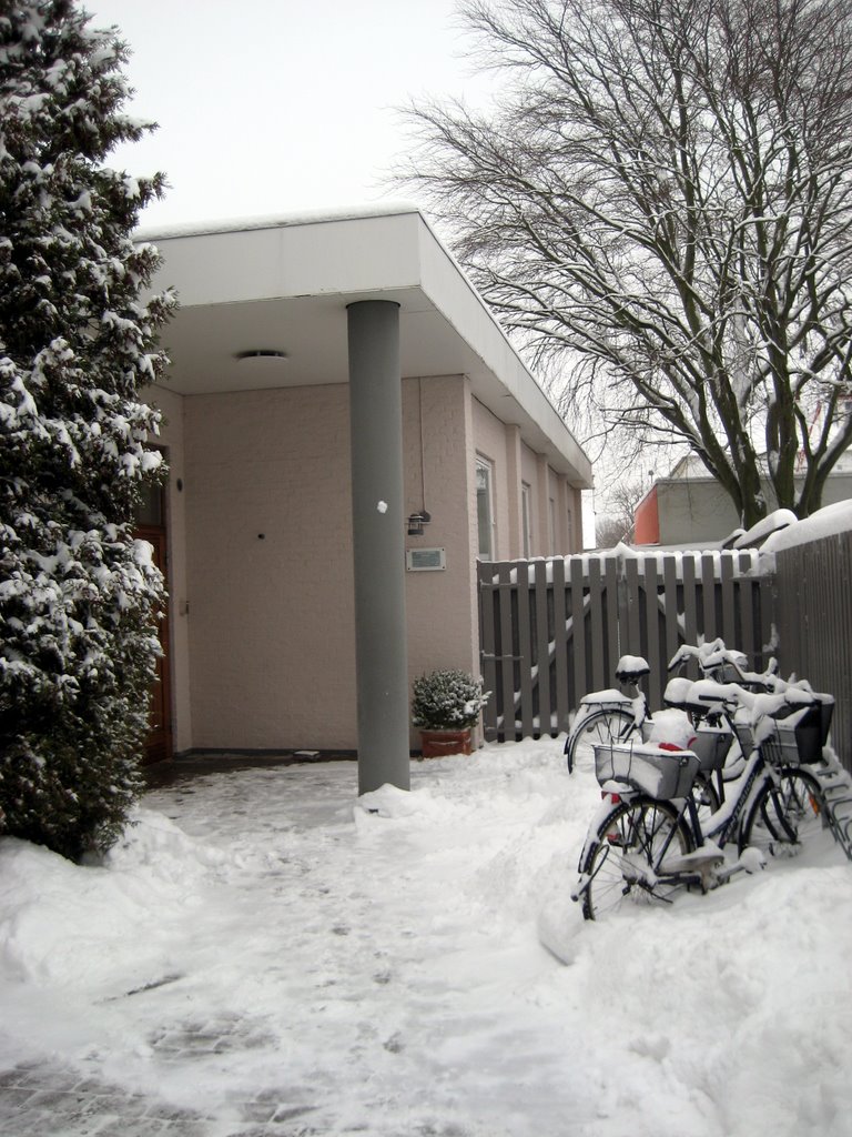 Lots of snow photos