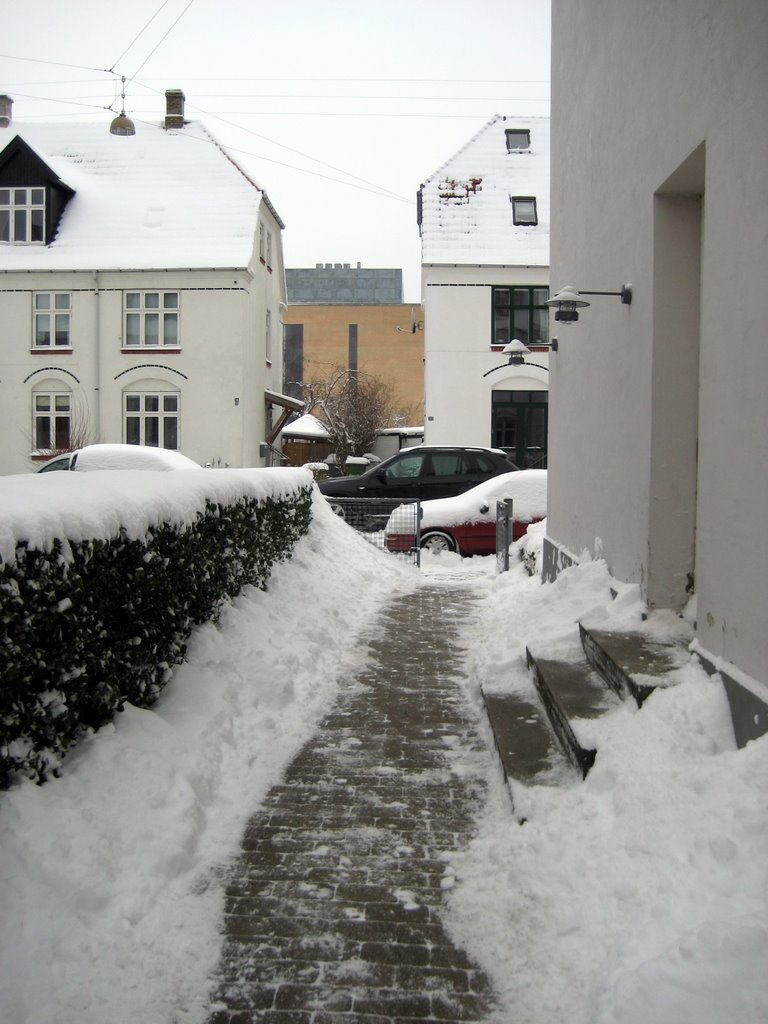Lots of snow photos