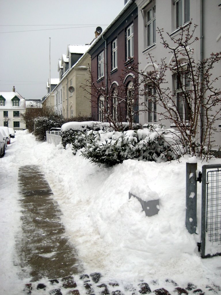 Lots of snow photos
