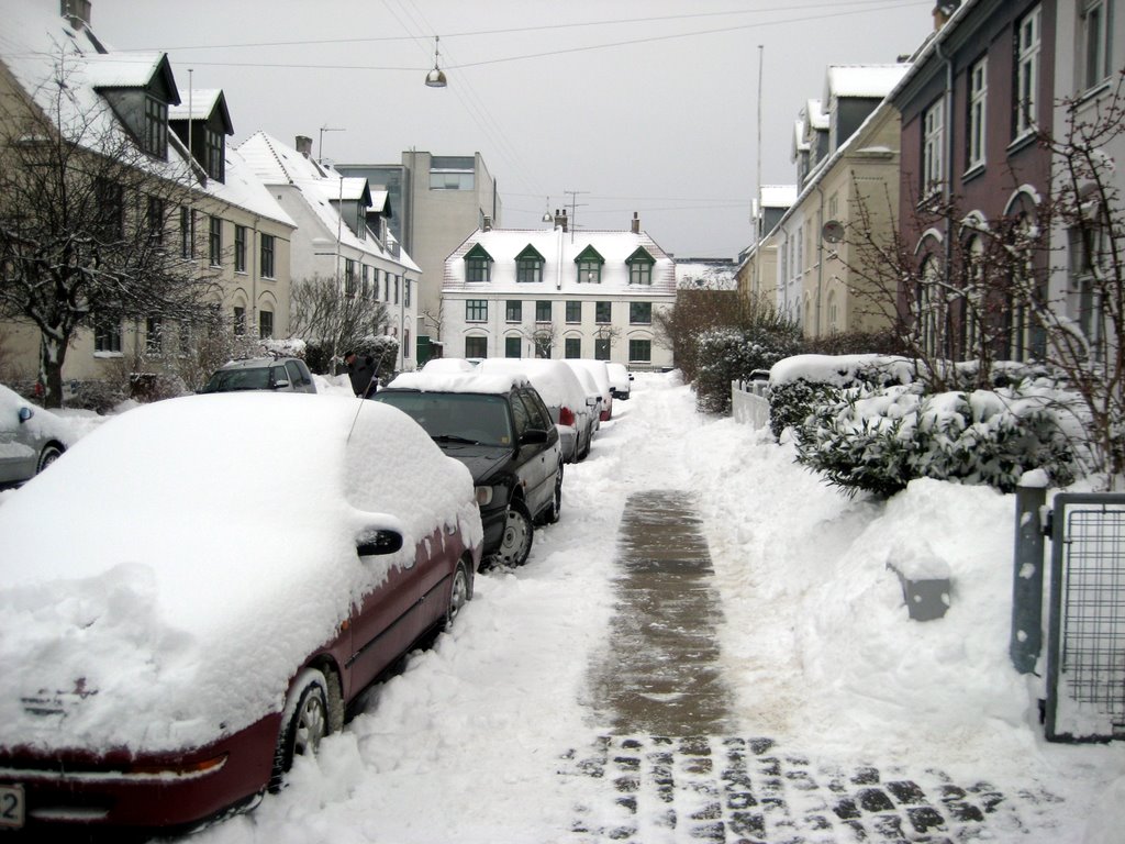 Lots of snow photos