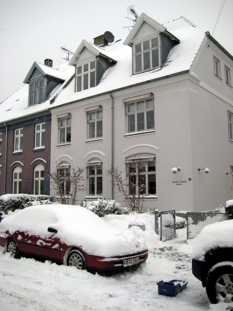 Lots of snow photos
