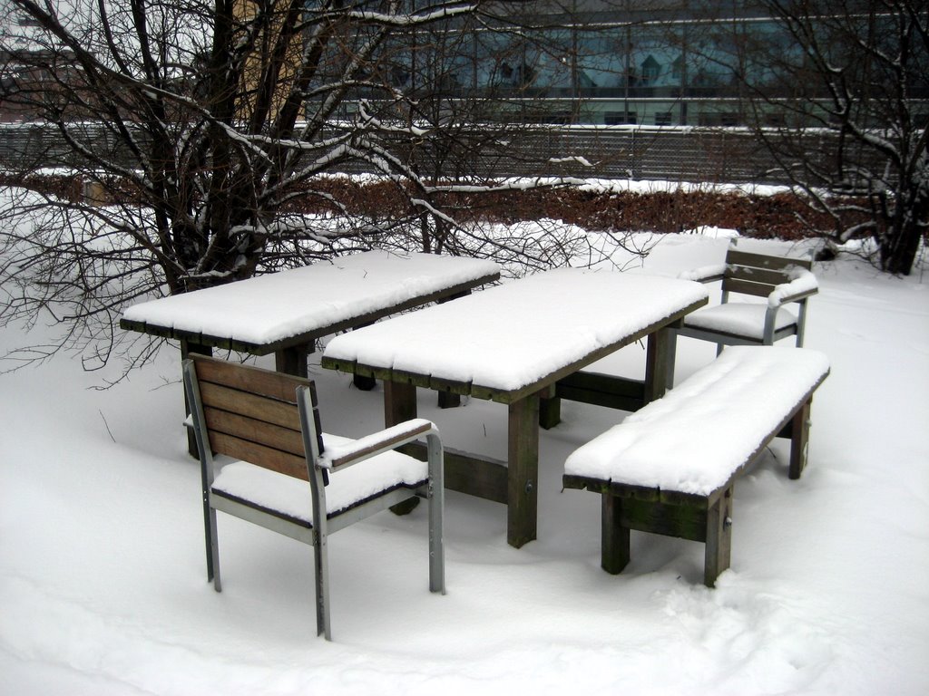 Lots of snow photos