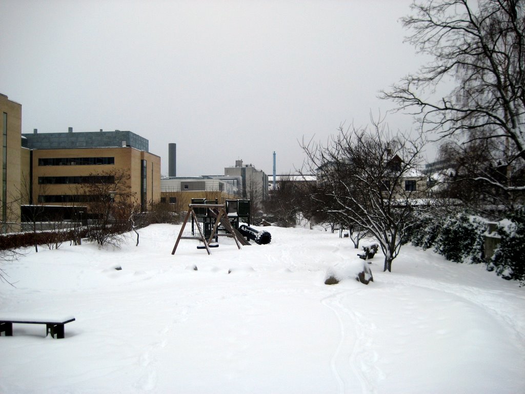 Lots of snow photos