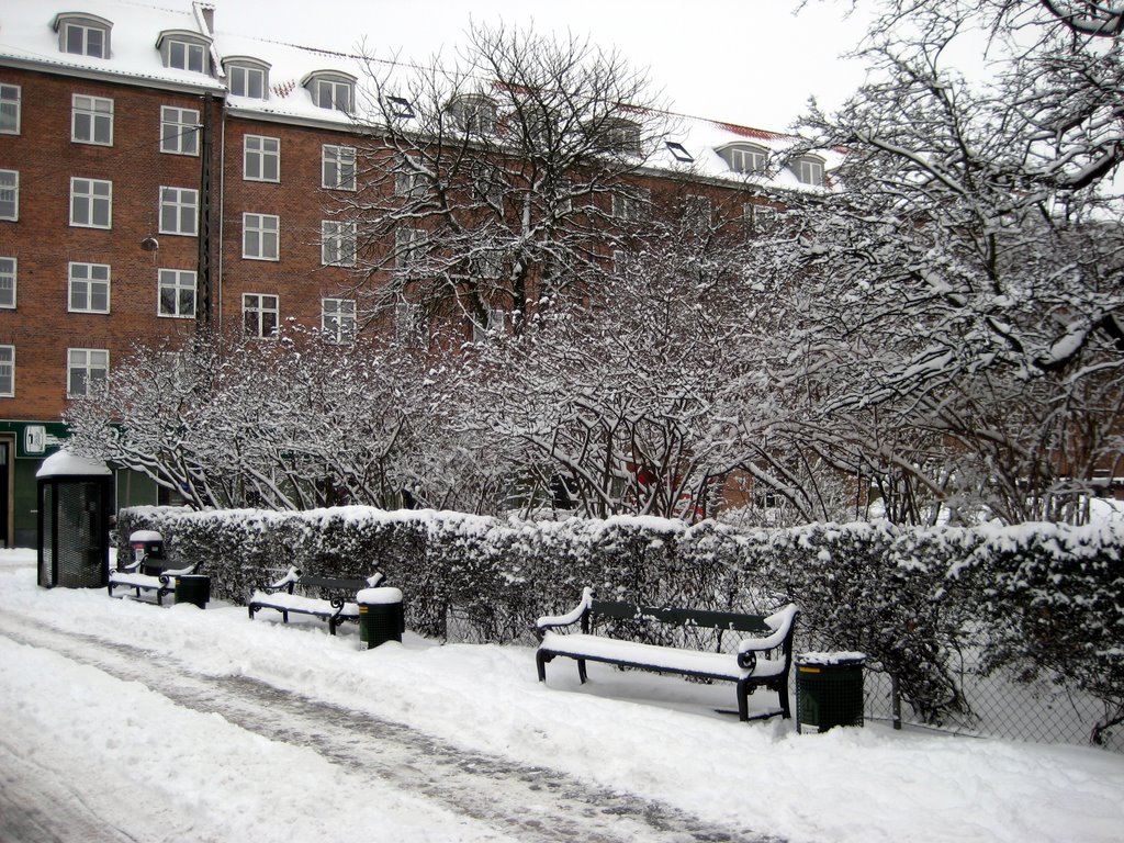 Lots of snow photos