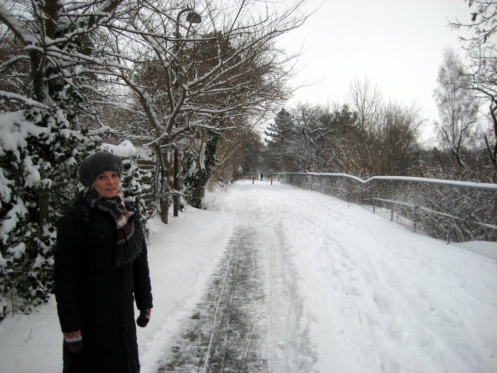 Lots of snow photos