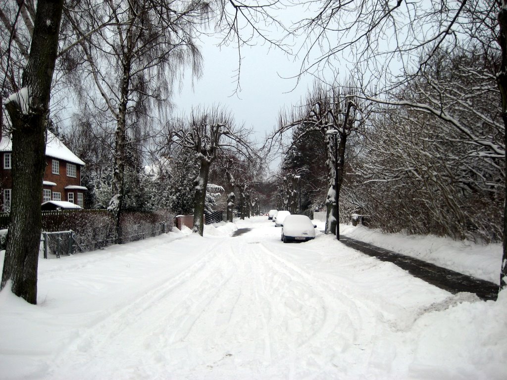Lots of snow photos