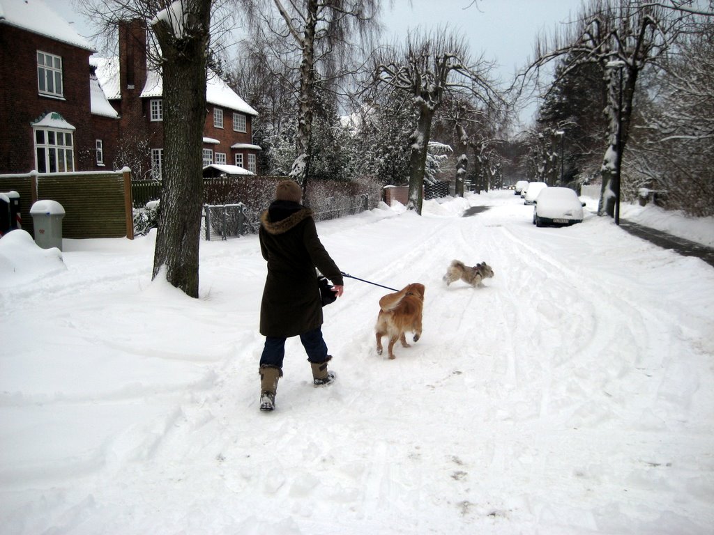 Lots of snow photos