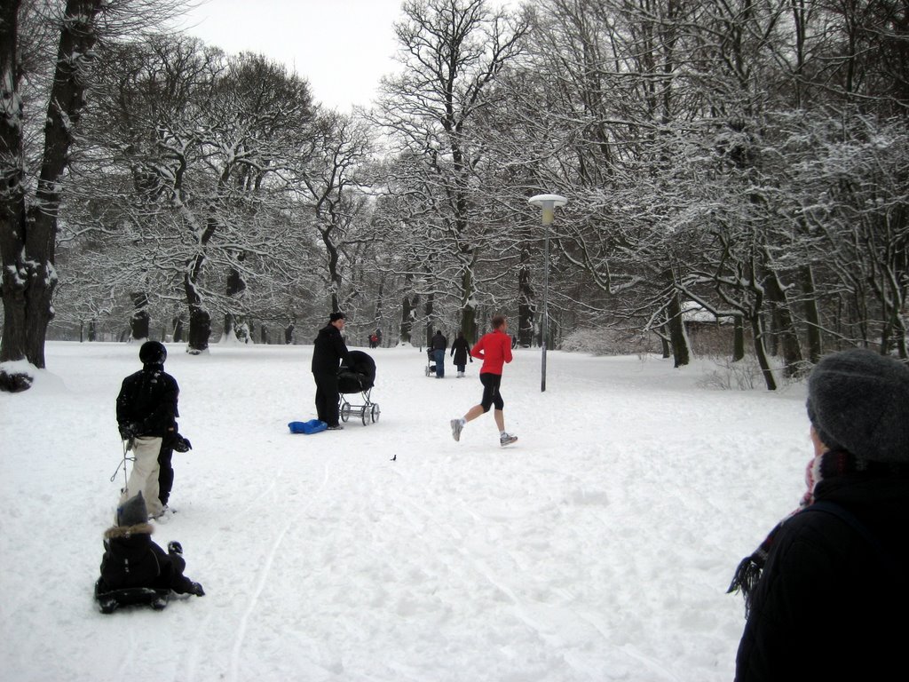 Lots of snow photos