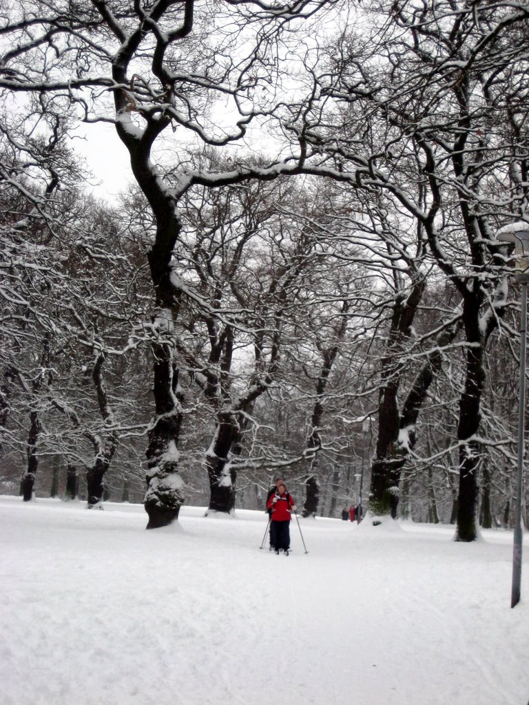 Lots of snow photos