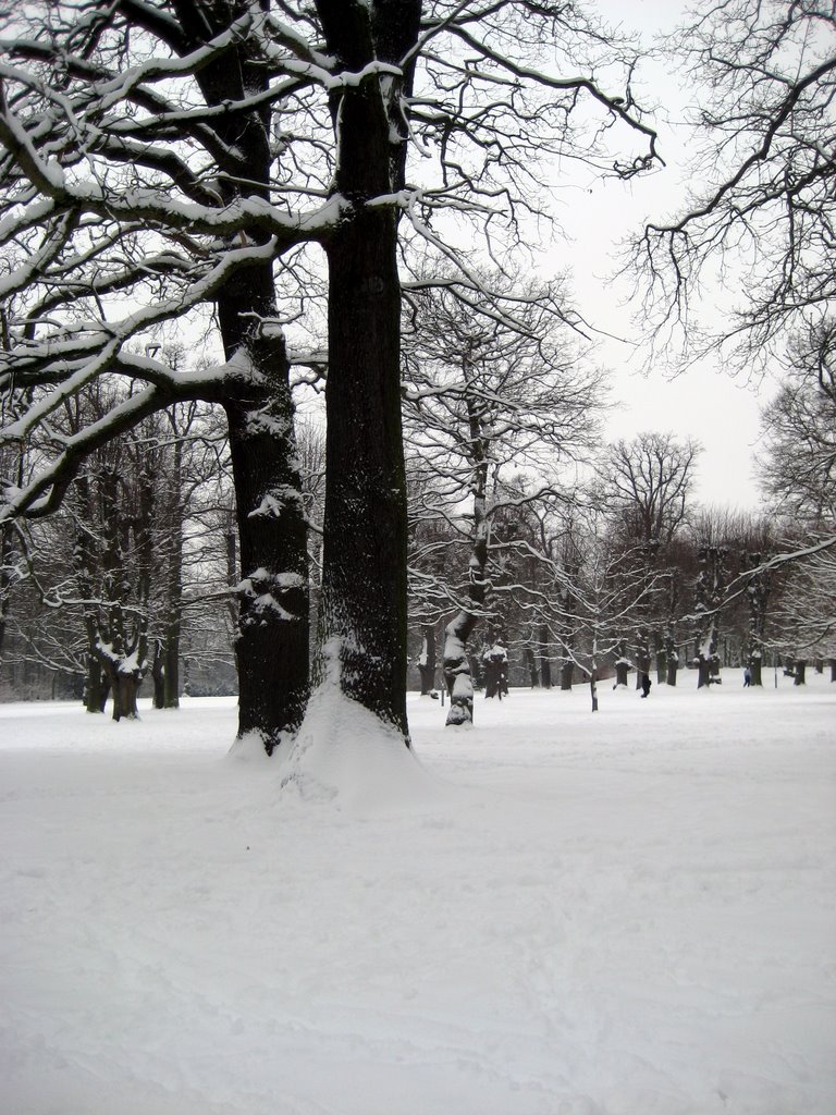 Lots of snow photos