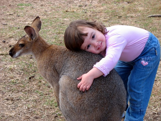 What is cutest?