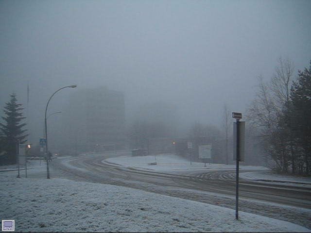 Witnessing in Oslo