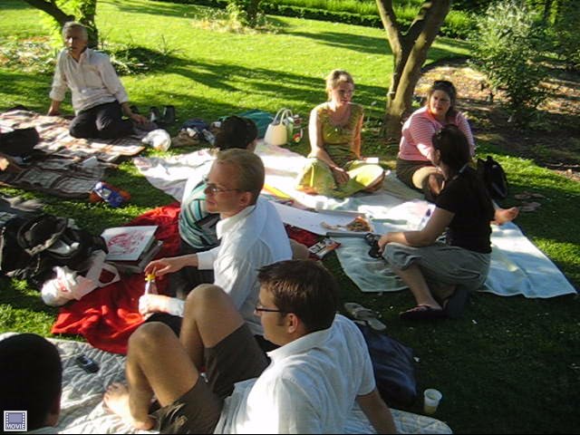 Pizza in a park