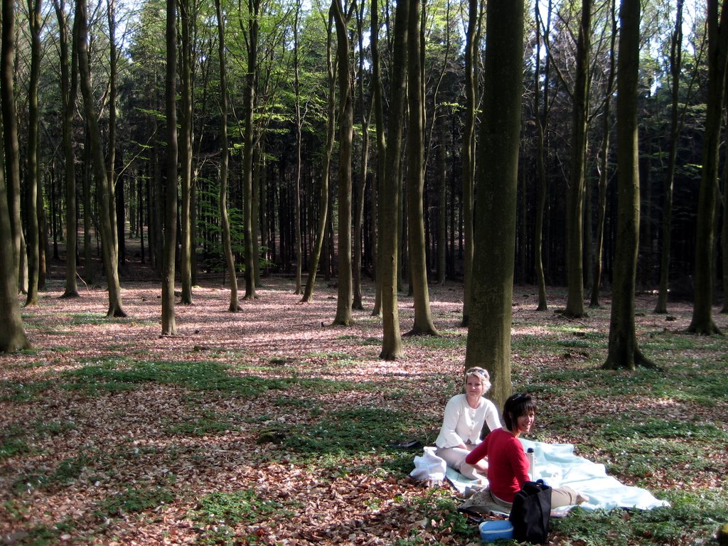 Coffee break in a forest near Fredensborg