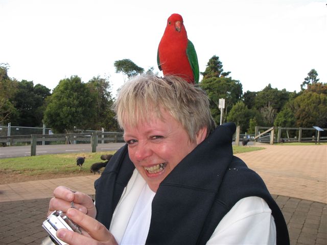 Birds