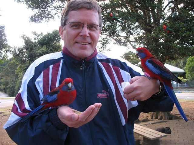 Birds