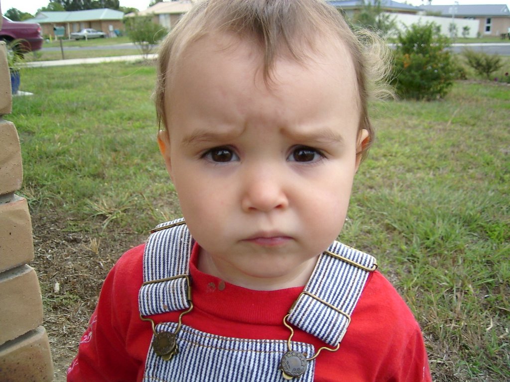 29 photos of Bubba