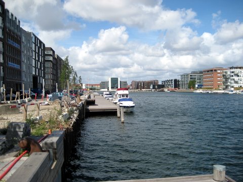 Witnessing in Frederikskaj