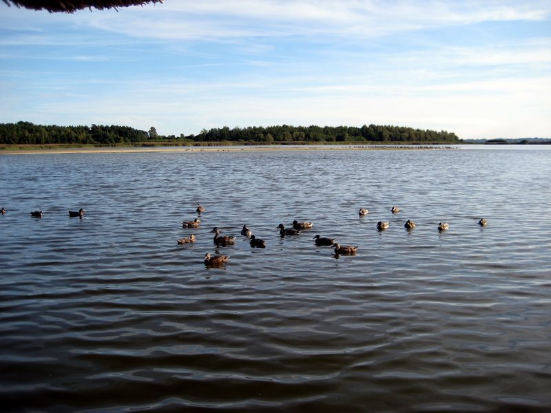 Nakke natural reserve