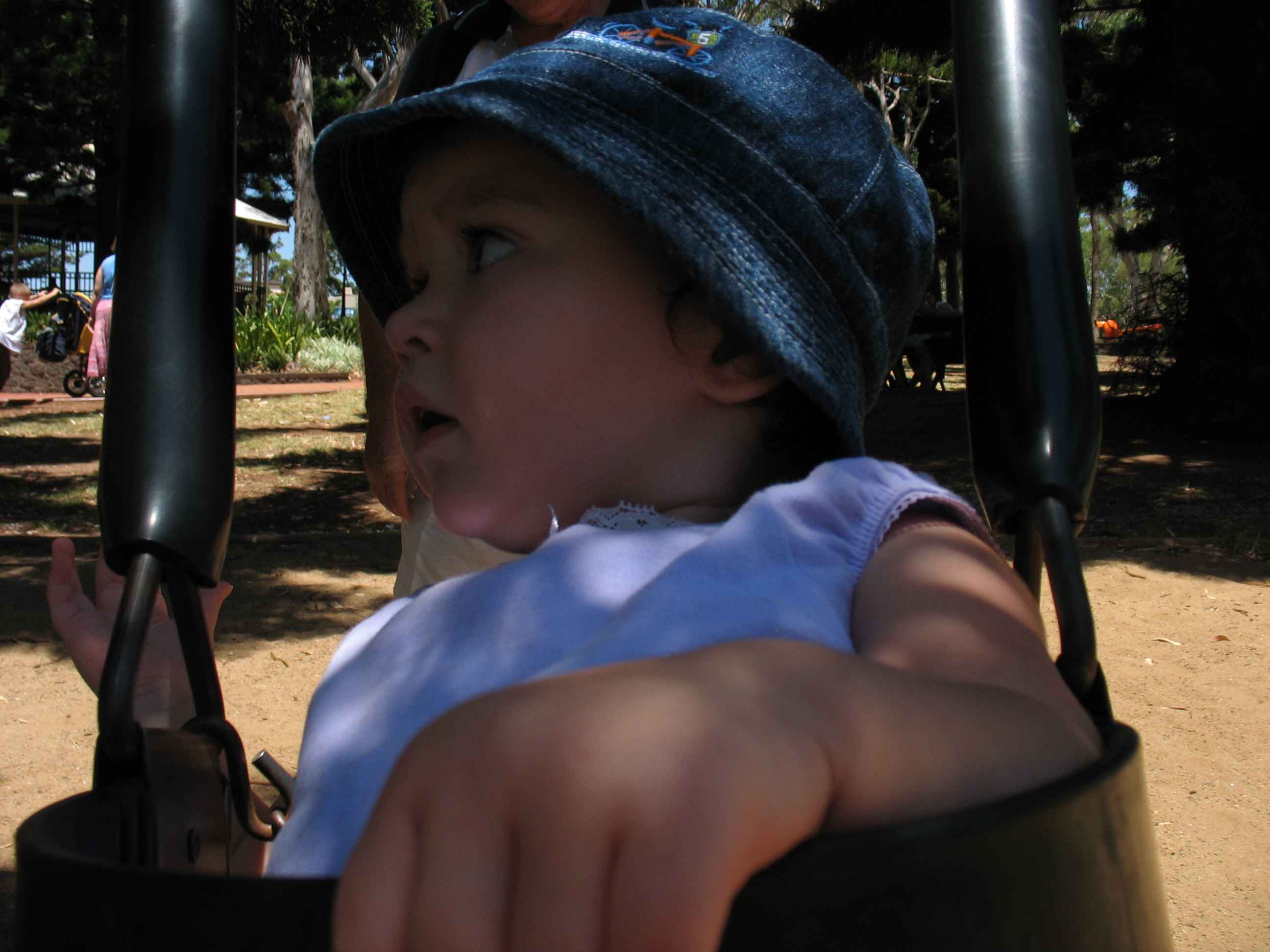 A Day in the Park